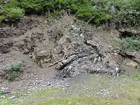 Section exposée de l'horizon Kellwasser dans la vallée de la Kellwasser.