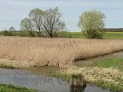Lieu-dit La Jonnière