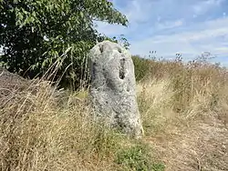 Menhir de Haute-Borne