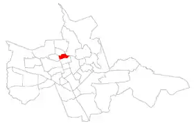 Carolina (Santa Maria)