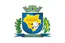 Drapeau de João Pinheiro