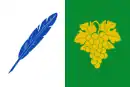 Drapeau de Toén