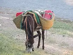 Portage d'eau (2015).