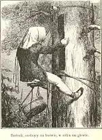 Un apiculteur soigne une ruche dans un arbre.