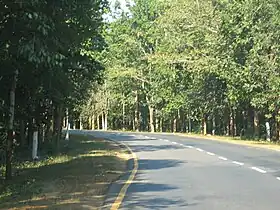 Image illustrative de l’article Route nationale 43 (Inde)