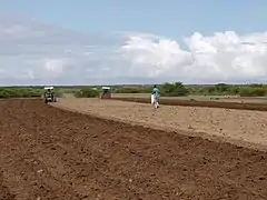 Agriculteurs travaillant dans les champs au Somaliland