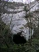 Entrée de la baume Archée.