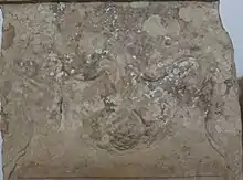 Détail sculpté avec une guirlande et une pomme de pin