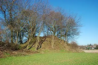 Le tumulus septentrional vu de l'est.