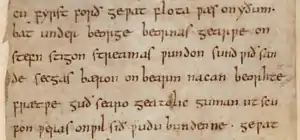 Portion de Beowulf (viie&nbsp;siècle) avec la forme du g insulaire pour la lettre g.