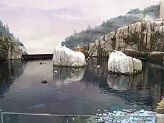 Zone du Golfe du Saint-Laurent (surface).