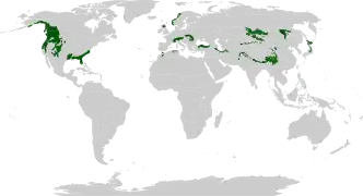 Principales zones : chaînes côtières du Pacifique et Rocheuses, Floride, Alpes, Carpates, côte norvégienne, chaîne Pontique, Elbourz, Himalaya, sud de la Sibérie, Japon.