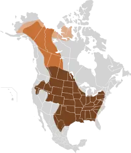 Répartition primitive du bison des plaines et du bison des bois en Amérique du Nord. Le bison de l'Holocène (Bison occidentalis) est une forme primitive à l'origine du bison des plaines et du bison des bois.  Bison de l'Holocène Bison des boisBison des plaines