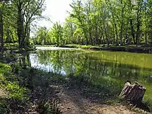 "Bord de cours d'eau bordé d'arbres."