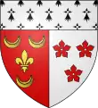 Blason de Saint-Avé