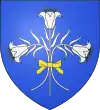 Blason de Sainte-Anne