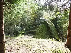 Bloc de Saussure ou de la Follieuse dans les Voirons à Lucinges (Haute-Savoie).