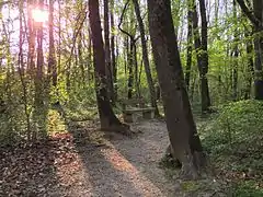 Un banc au bord du chemin.