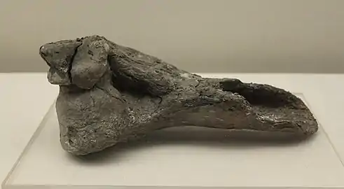 Bêche dans un humérus de gros animal, (L. 24&nbsp;cm)Site de Bashidang. Musée du Hunan.