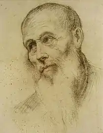 Tête d'homme barbu, XVIe&nbsp;siècle   Bonifazio Veronese