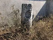 Photographie en couleurs d'un bloc cylindrique de pierre entouré de végétation.