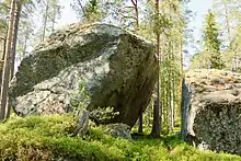 Deux blocs erratiques sur des mousses avec en arrière-plan une forêt de conifères.