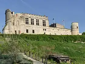 Image illustrative de l’article Château de Bouteville