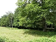 La vallée de la Brézentine au lieu-dit la Villatte.