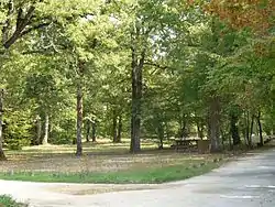 Image illustrative de l’article Forêt de la Braconne