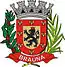 Blason de Braúna