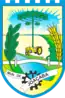 Blason de Joaçaba
