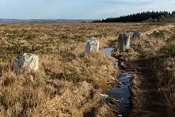 Image illustrative de l’article La Noce de Pierres