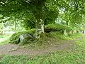 Le tumulus recouvrant l'allée couverte de Ti ar Boudiged.