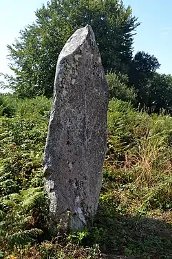 Image illustrative de l’article Alignement de Leïtan