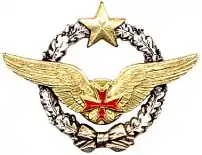 Brevet de convoyeur de l'air (CVA).