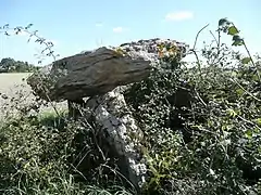 La Pierre Couverte de la Planche.