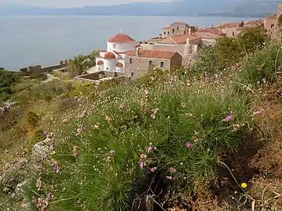 Buissons dans l'enceinte de Monemvasia