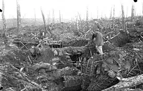 Forêt d'Argonne en octobre 1915, ravagée par les tirs d'obus.