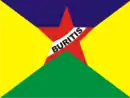 Drapeau de Buritis