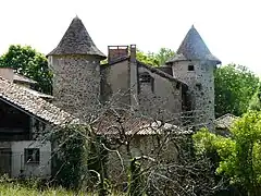 Le château de Belleville.