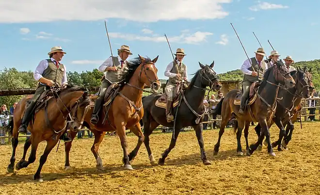 Plusieurs cavaliers au galop, vue de trois-quart avant