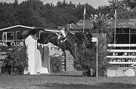 Image illustrative de l’article Hartwig Steenken