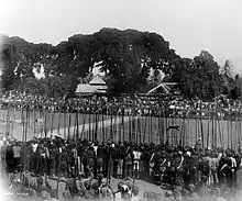 Un tigre entouré de piquiers court dans le cercle