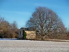 Cabanon à Revest-du-Bion.