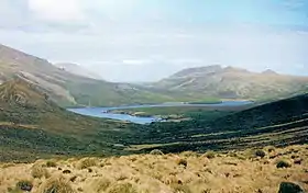 Image illustrative de l’article Îles subantarctiques de Nouvelle-Zélande