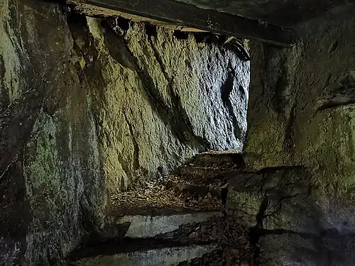 Tunnel de la ligne Cardona.