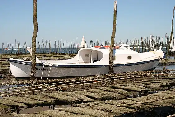 Pinasse du Cap-Ferret