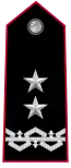 Insigne d'épaule de général de division de l'Arma dei Carabinieri