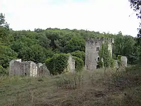 Image illustrative de l’article Château de Fontirou