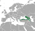 Aire de répartition de la Musaraigne pygmée du Caucase